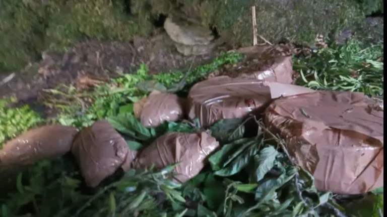 जम्मू-कश्मीर के पुंछ में आतंकियों के ठिकाने का भंडाफोड़, 5 IED और विस्फोटक सामग्री बरामद – Terror Hideout Busted in Poonch