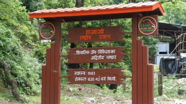 अभी पूरा नहीं हुआ राजाजी का मिशन टाइगर, संख्या बढ़ाने के लिए जल्द होगा अध्ययन – PROJECT TIGER