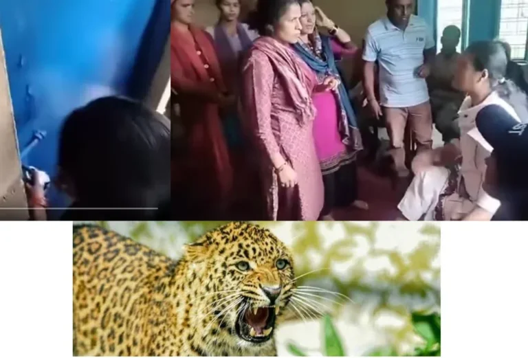 गुलदार को मारने की मांग तेज, महिलाओं ने वन अधिकारियों को पंचायत भवन में किया बंद