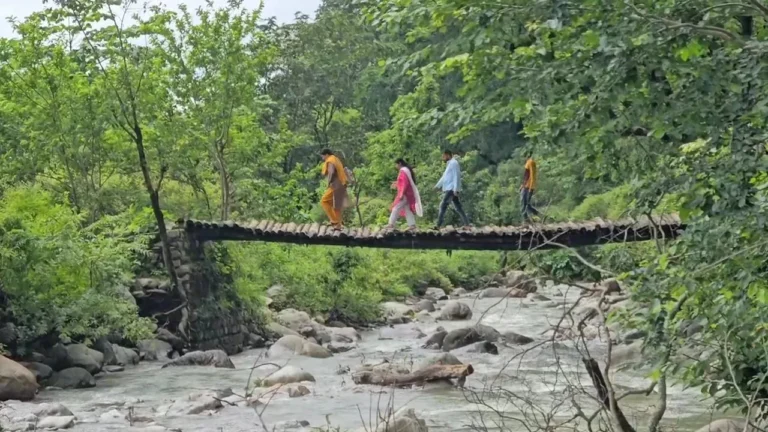उत्तराखंड में जानलेवा सफर! लकड़ी के पुल से रोज नदी पार कर रहे ग्रामीण, बच्चों और मरीजों की जान जोखिम में