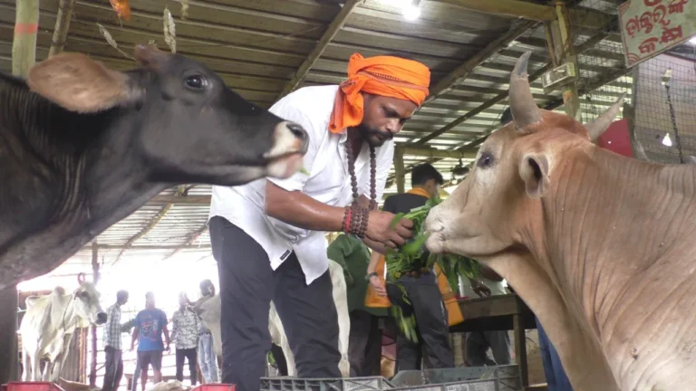 बेजुबानों के मसीहा शंकर बाबा: जानवरों और सांपों को देते हैं नई ज़िंदगी, खुद चलाते हैं ‘ट्रॉमा सेंटर’