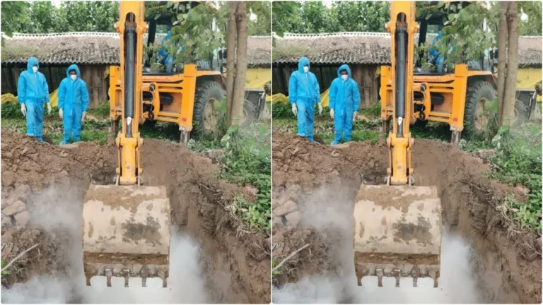 उत्तराखंड में बर्ड फ्लू की पुष्टि, 1700 से ज्यादा मुर्गियां दफन, प्रशासन सतर्क