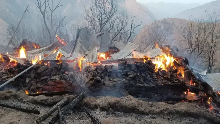 उत्तरकाशी में भीषण अग्निकांड: तीन मंजिला घर जलकर राख, मवेशियों की भी दर्दनाक मौत