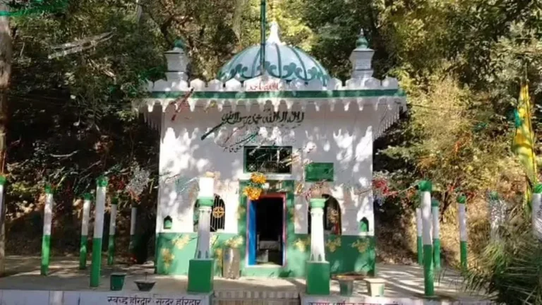 अतिक्रमण पर सख्त वन विभाग: इंडस्ट्रियल एरिया के पास बनी मजार को नोटिस, 15 दिन में मांगा जवाब