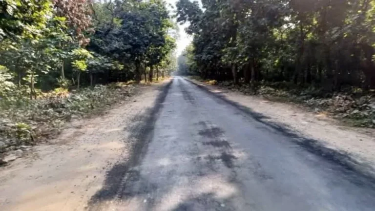 सुप्रीम कोर्ट से लालढांग–चिल्लरखाल मोटर मार्ग को बड़ी राहत, सड़क निर्माण का रास्ता साफ