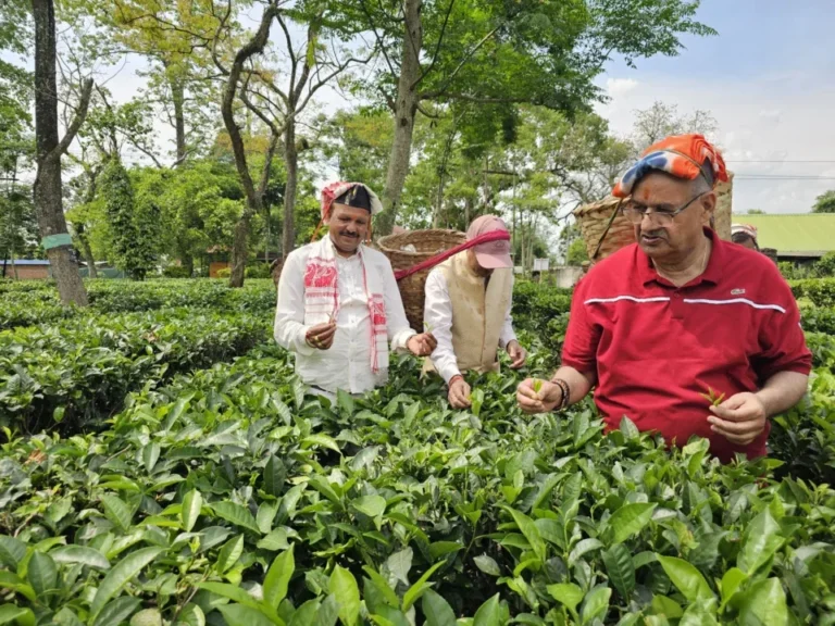 असम के हाथीकुली चाय बागान में महिला श्रमिकों के साथ चाय की पत्तियां तोड़कर उन्हें पारंपरिक टोकरी में एकत्रित करते कृषि मंत्री गणेश जोशी