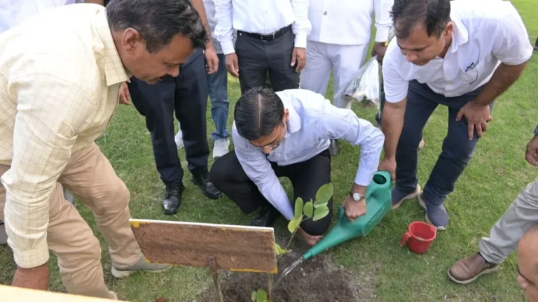 महिला स्वयं सहायता समूहों को मिलेगा ऑनलाइन बाजार, गूगल मैप्स पर पंजीकरण के डीएम सविन बंसल के निर्देश