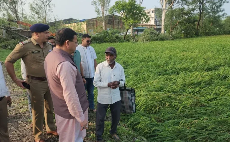 बाजपुर में ओलावृष्टि से फसलों को नुकसान, सीएम धामी ने किया हवाई सर्वेक्षण; जल्द आकलन के निर्देश